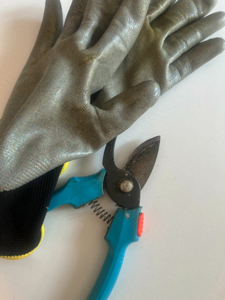 Die beiden vorschriftsmäßigen Handschuhe für die Gartenarbeit liegen neben der Heckenschere – es kann nichts mehr schiefgehen.