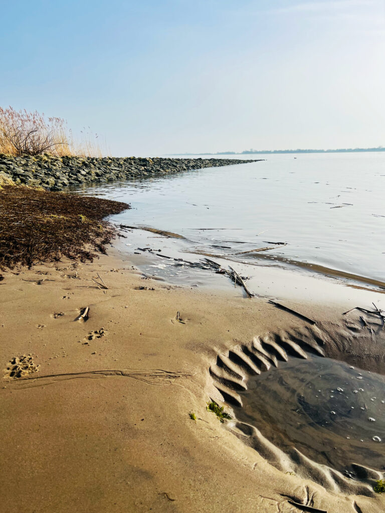 Das Foto zeigt den direkten Blick auf die Elbe bei Kollmar, im Vordergrund ein kleines Stück vom Strand, dahinter das spiegelglatte Wasser und ein paar Steine, die hinten zum Horizont hin ins Wasser verschwinden.